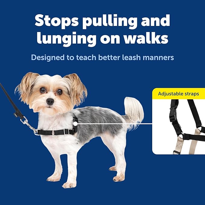 PetSafe Easy Walk No-Pull Dog Harness - The Ultimate Harness to Help Stop Pulling - Take Control & Teach Better Leash Manners - Helps Prevent Pets Pulling on Walks - Petite/Small, Black