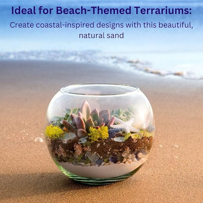 SuperMoss (24310 Decorative Sand – Fine White Sand for Vase Filler, Terrariums, Zen Gardens, Aquarium Sand, Crafts & Top Dressing for Plants, 12oz
