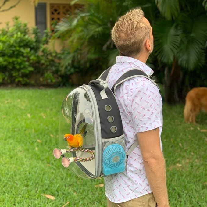 Bird Traval Carrier Cage, Clear Space Capsule Astronaut Backpack to Carry Parakeet Cockatiel Parrot with Metal Tray Bird Feeder Wood Perch, Vet Transport School Bag