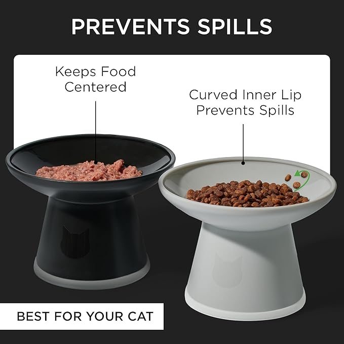 Necoichi 2pcs Extra Wide Elevated Cat Food Bowls – BPA-Free Plastic Raised Bowls to Reduce Whisker & Neck Fatigue – Dishwasher Safe – Non-Slip, Anti-Vomiting Ergonomic Design (Urban Fog)