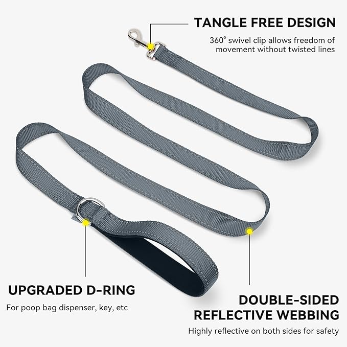 Joytale Dog Leash, 5 FT Double-Sided Reflective, Padded Handle Nylon Heavy Duty Leashes for Medium & Large Dogs Walking, Grey