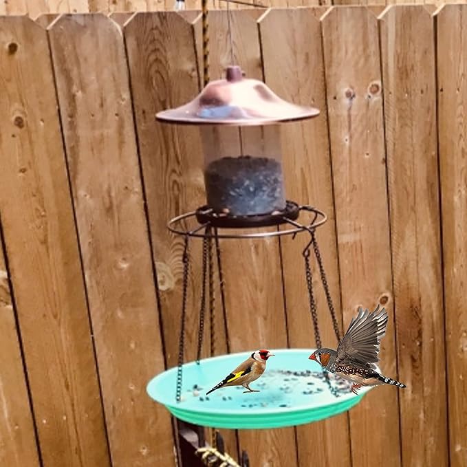 Bird Seed Catcher Tray Platform Feeder Hanging Tray - Fits Most feeders Catches Most Falling Seed and Husk, Bird Feeders and Accessories for Attracting Birds Outdoors, Backyard, Garden (Green)
