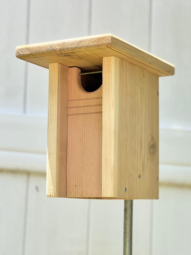 DutchCrafters Gillwood Bluebird Cedar Wood Nest Box, Outdoor Nesting Box for Birds, Wooden Bird House, Pole Mount Birdhouse for Outside - Amish Made in USA