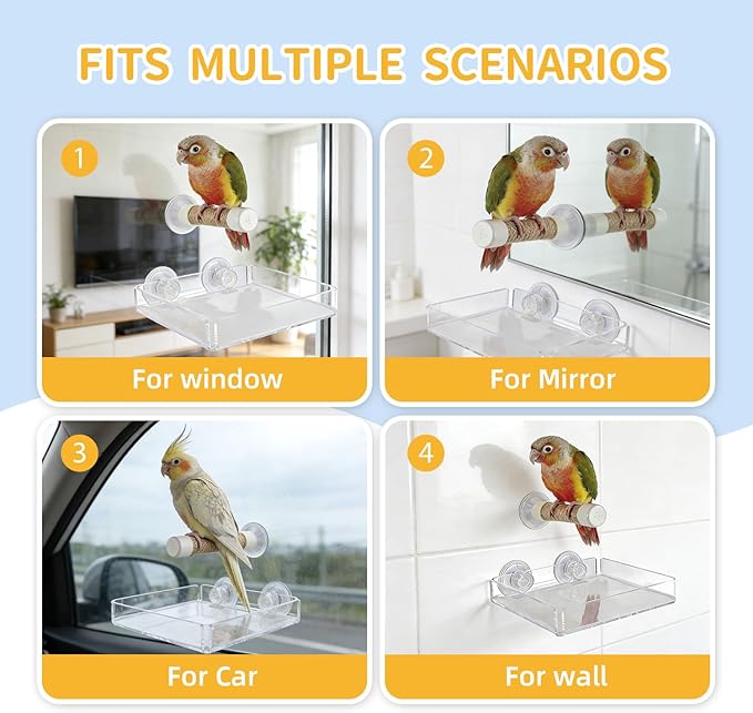 2-in-1 Bird Perch with Removable Tray | Suction Cup Bird Perch with Locking Guard & Feeder Tray | for Small and Medium Birds Like Parakeets, Cockatiels, Lovebirds, Conures(Clear,Medium)