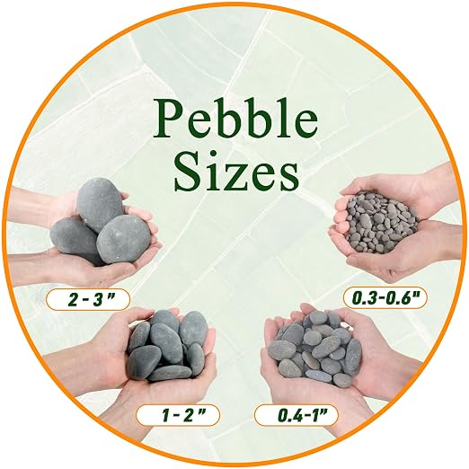 Quibbay 5 lbs Natural Mexican Beach Pebbles, 1-2 Inch Large River Rocks for Plants and Landscaping, Decorative Stone for Fish Tank Aquarium Fountain Garden Paving Walkways Pathways Backyard, Grey