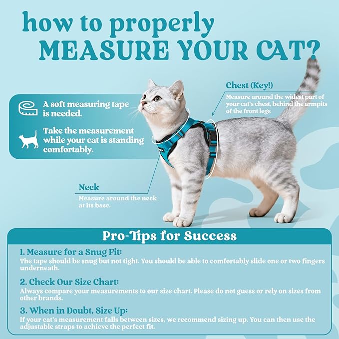 rabbitgoo Cat Harness and Leash for Walking, Escape Proof Soft Adjustable Vest Harnesses for Cats, Easy Control Breathable Reflective Strips Jacket, Teal, S