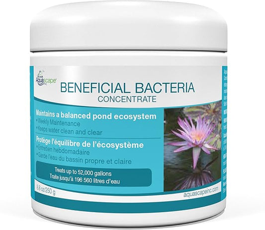 Aquascape Dry Beneficial Bacteria for Pond and Water Features, 8.8 Ounce (Pack of 1), 98948 , white