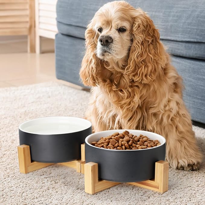Y YHY Ceramic Pet Feeder, 24oz Dog & Cat Bowls with Wooden Stand, Modern Double Bowls Set - Dishwasher Safe
