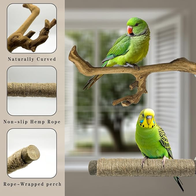 6 Pcs Medium Bird Perch Set, Natural Wood Bird Perches, Parrot Cage Toys for Cockatiels, Conures, Budgies, and Parakeets, Cage Accessories for Small and Medium Parrots