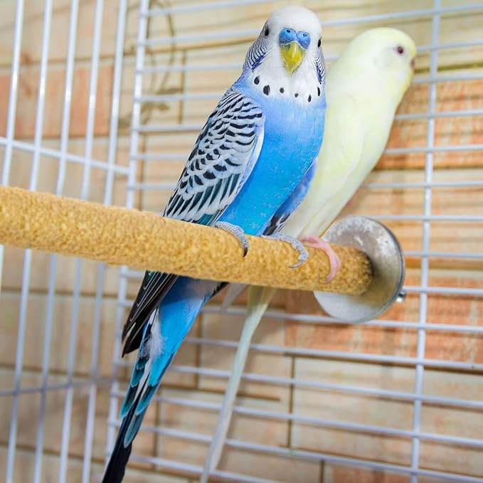 10 Pieces Bird Perch Stand Parrot Stand Paw Grinding Stick Parrot Perch Rough Surfaced Bird Cage Stand Colorful Wooden Parakeet Perch Toys for Cockatiels Cage Accessories