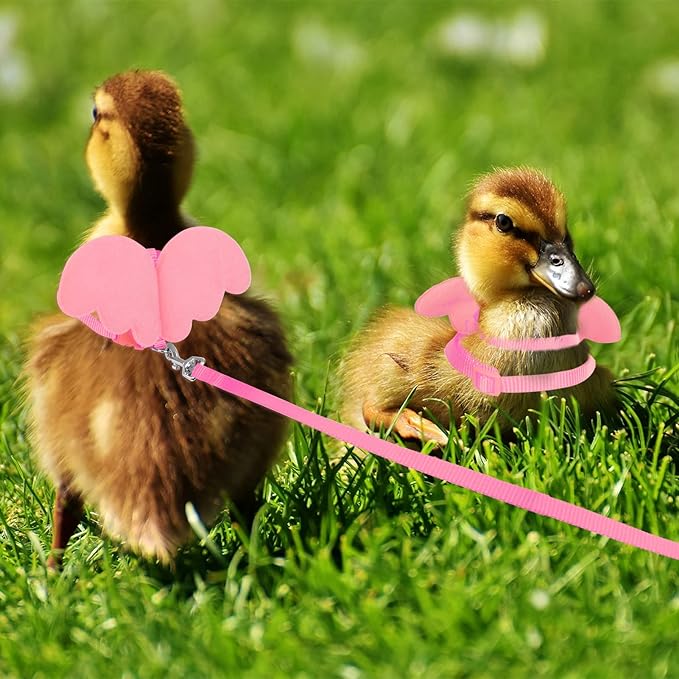 KAMA BRIDAL Duck Walking Harness and Leash Chicken Duck Outdoor Training Rope Adjustable Rope for Pet Poultry Hen Cock (XS, Pink)