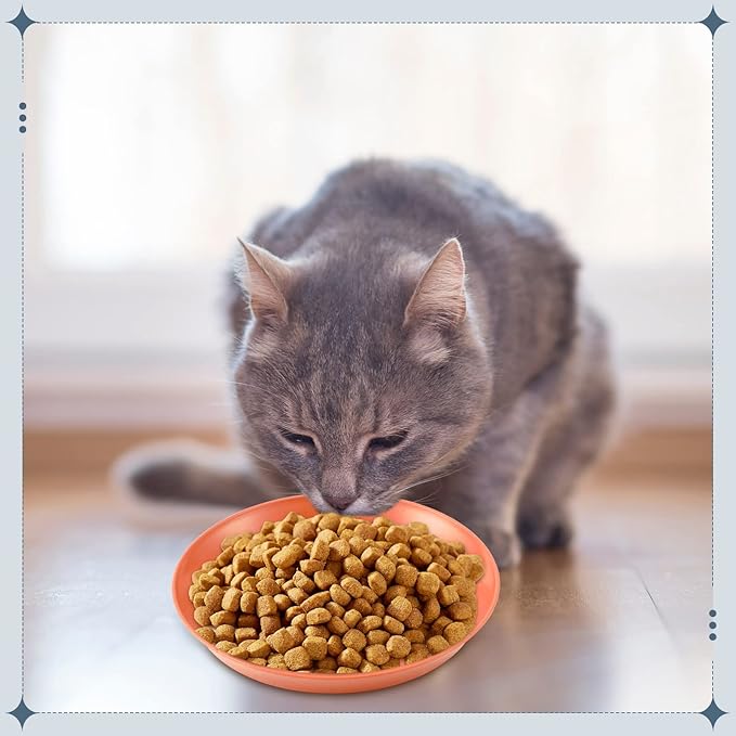 Gerrii 12 Pieces Beard Fatigue Relief Cat Bowl 6 Inch Round Shallow Cat Food Dish Wet Feeding Bowls Wide and Small Pet Dish for Kittens and Short Legged Kitten, Wheat Straw(Vintage Colors,Classic)