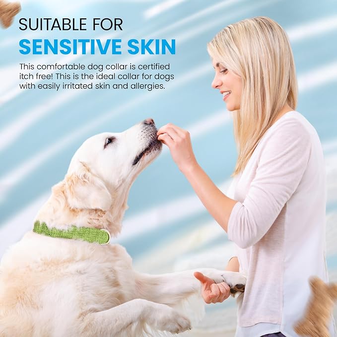Hypoallergenic Dog Collar - Great for Sensitive Skin, Soft Collar for Dogs, Soft Organic & Earth Friendly (Small, Black)