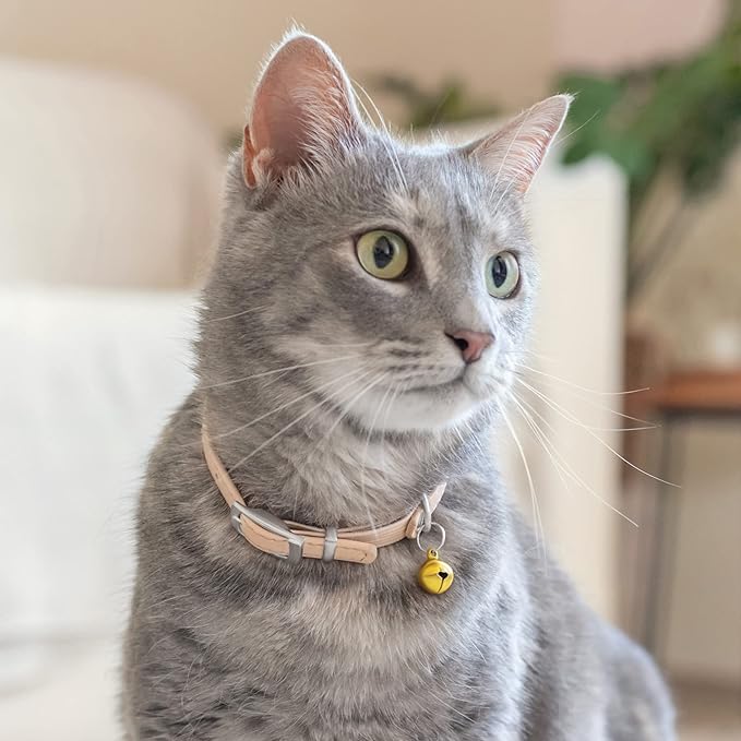 CollarDirect Leather Cat Collar with Removable Bell – Safety Elastic Strap (Breakaway Alternative) – Kitten Collar for Small & Big Boy & Girl Cats