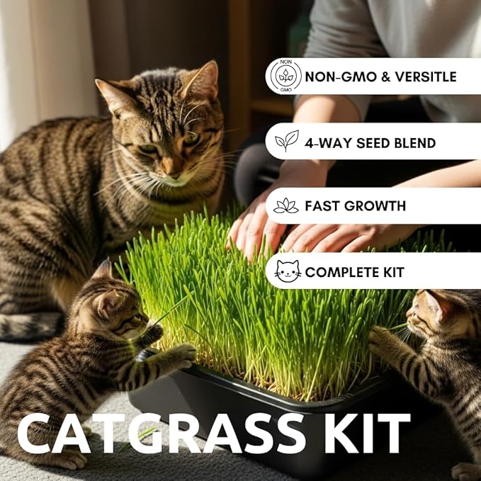 Cat Grass Growing Kit - Cat Lover Holiday Gift - Organic Seed, Jute Grow Mats, No Tools Needed - 10 x 10 Grow Container - Great for Indoor or Outdoor Pets - Complete Set - White Elephant
