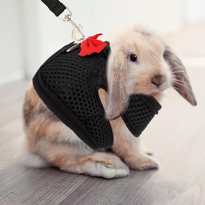 NUOBESTY Bunny Harness Leash Set Breathable Mesh Vest Guinea Pig Harness Adjustable Chest 20-23cm Small Pet Walking Supplies for Rabbits and Guinea Pigs