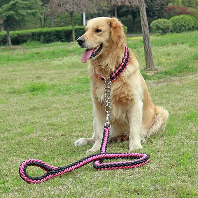Love Dream Dog Collar and Leash Set, Heavy Duty Nylon Braided Rope Strong 4 FT Dog Leash and Martingale Training Collar for Small Medium Large Dogs Training and Walking (Black & Pink)