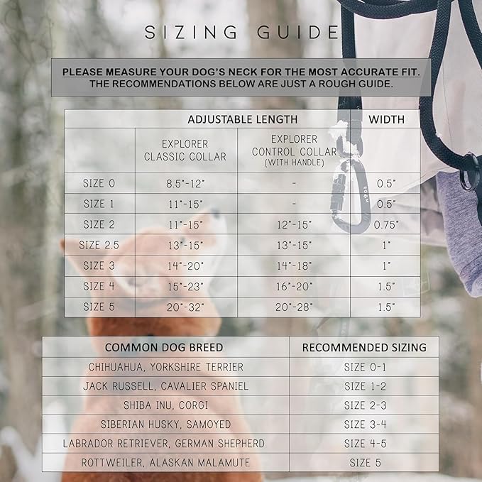 Made to ROAM Premium Dog Collar - Adjustable Heavy Duty Nylon Collar with Quick-Release Metal Buckle (Arizona Sunkissed, Classic Size 5)