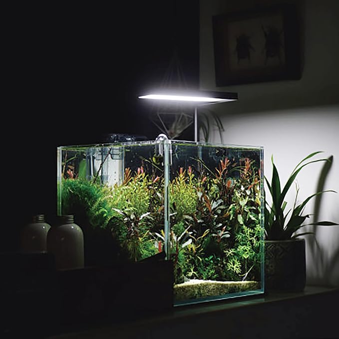 Allcolor Artisan Grade Ultra Clear Rimless Aquarium Tank (7Gal) | Low Iron Glass Fish Tank for Professional Aquascaping and Planted Layouts, 6-60 Gallons (7Gal - Top Glass Canopy)