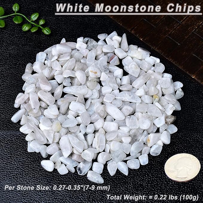 Erliway 100g Natural White Moonstone Crystal Chips 7-9mm Tumbled Stones | Small Crushed Crystal Stone, Polished Crystals Chips for Fish Tank, Healing Tumbled Rocks for Reiki Jewelry Making Home Décor