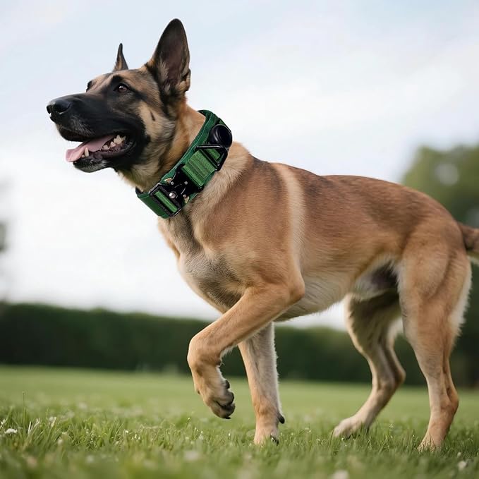 AirTag Dog Collar, 2" Wide Tactical Military Army Dog Collar with AirTag Holder & 3 Pet Patches, Soft Padded Reflective Waterproof Nylon Collar with Metal Buckle for Medium Dogs (Green, M)