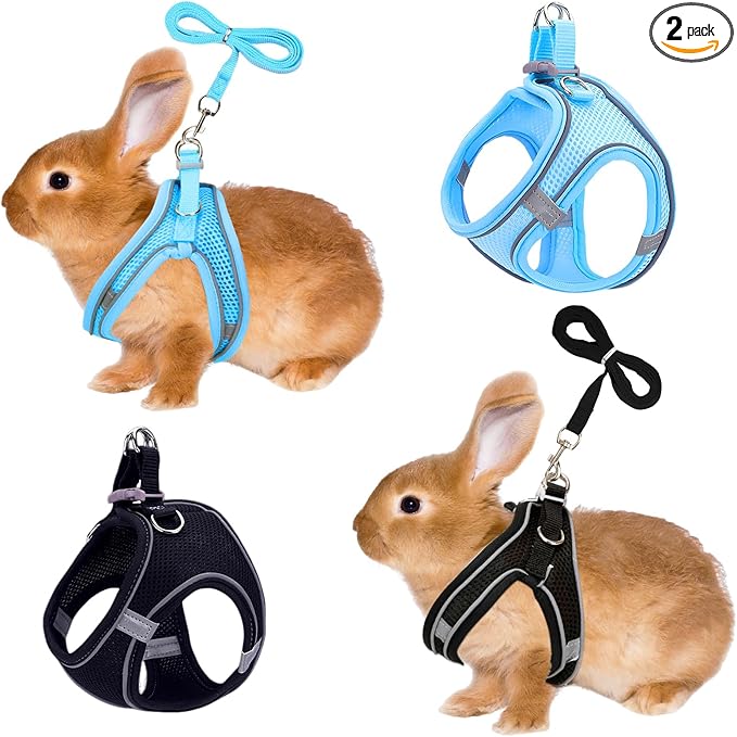 PETKNOWS 2 Pack Rabbit Harness and Leash Set, Double Buckle Bunnies Harness with Reflective Strips Soft Breathable Mesh Vest Harness for Rabbits Walks Accessories(Blue and Black)