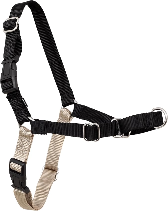 PetSafe Easy Walk Harness for Dogs - Pull-Free Walks - Patented Martingale Loop Design - Front Chest Leash Attachment - Comfort Straps - Breathable Harness Design - Small/Medium, Black/Silver