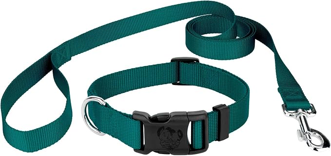 Country Brook Petz - Everyday Nylon Dog Collar and Leash - 10+ Cool Colors (3/8 Inch, 3XS, Teal)