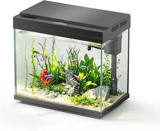 3 Gal Glass Fish Tank Kit with Filter & Light | 3-Gallon Capacity，No Setup Required，2-Stage Filter，Ultra-Quiet Operation，3-Level Adjustable Light，180° Flip Lid，Feeding port