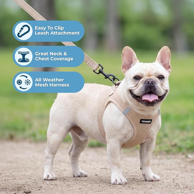 Best Pet Supplies Voyager Step-in Air All Weather Mesh Harness and Reflective Dog 5ft Leash Combo with Neoprene Handle, for Small, Medium and Large Breed Puppies - Khaki, XL