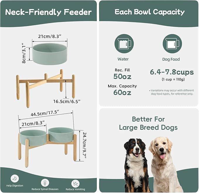 Havniva Ceramic 8.2inch Raised Dog Bowl with Stand for Large- Breed Dogs, Pet Food and Water Feeder (Double Bowl with Stand - Light Green)