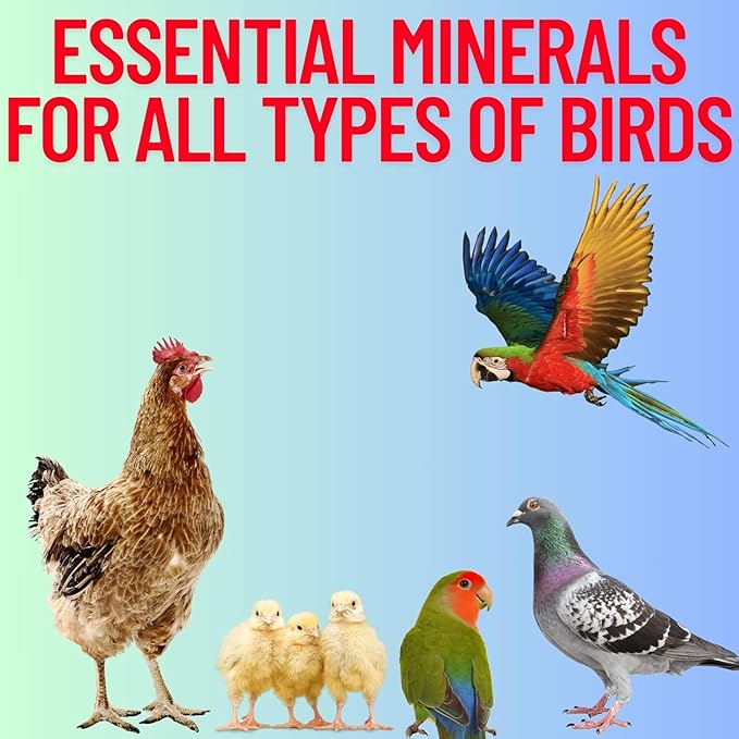 Red & Lime Stones Mix Grit Minerals, High Calcium Supplement, Designed to Promote Strong Bones, Better Digestion, and Overall Well-Being for Pigeons, Small Cage Birds, Duck and Chickens 3 Pounds Bag
