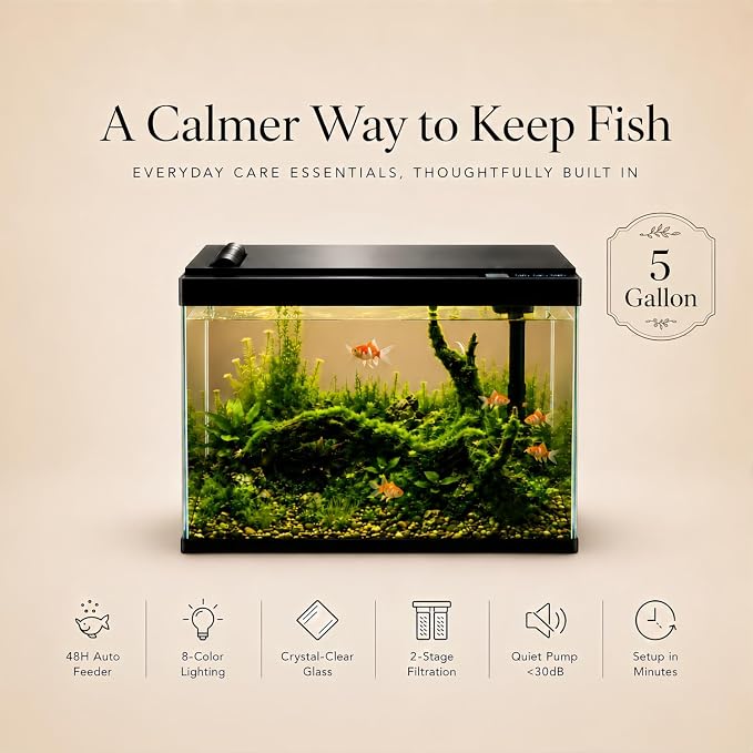 5 Gallon Fish Tank with Auto Feeder, Aquarium Starter Kit with Self Cleaning Filter, Crystal-Clear Glass, 8-Color LED Light, 5-Minute Setup, Vacation-Ready Betta & Goldfish Tank for Desk & Office