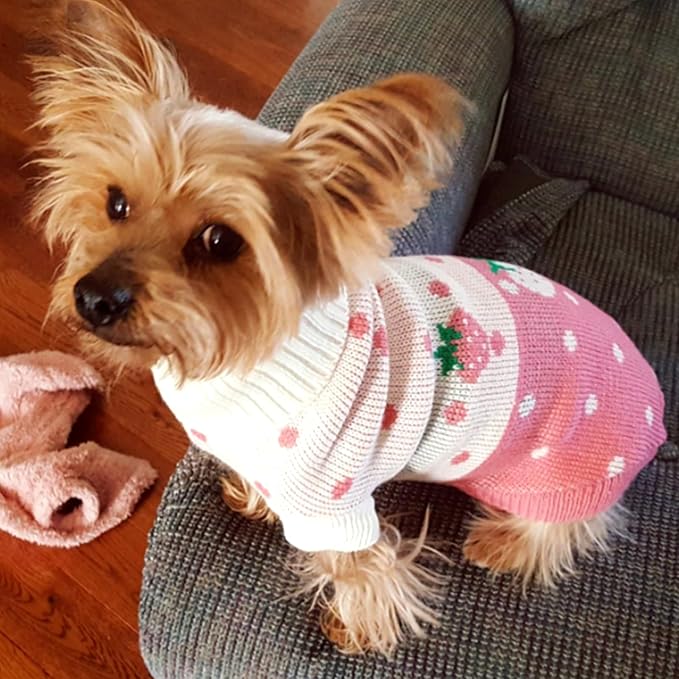 CHBORCHICEN Pet Dog Sweaters Classic Knitwear Turtleneck Winter Warm Puppy Clothing Cute Strawberry and Heart Doggie Sweater (Pink, Small)