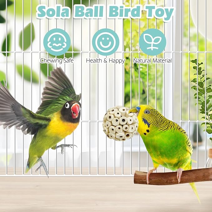 PINVNBY 6 Pack Small Sola Balls Bird Toys Soft & Chewable Bird Chew Ball 2.36" Natural Sola Plant Lightweight Shred Toy for Parakeet Cockatiel Lovebird Budgie and Similar Sizes Pets