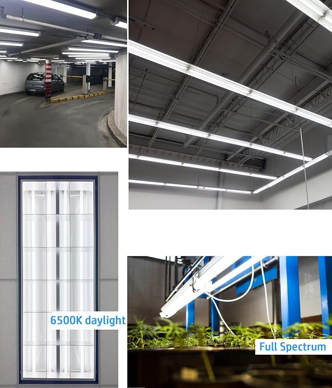 (10pack) 48 inch F32T8/865 Fluorescent Tube Light,4FT 32Watts 6500K Full Spectrum Daylight Bulb,Ra83 High Transparent Replacement for Ceiling Lights,Fish Tank Bulb