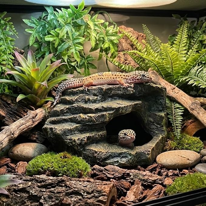 Gecko Tank Acccessories, Turtle Tank Accessories, Perfect Tortoise Hide Fish Tank Decor for Betta, Fish, Snake Hide, Professional Turtle Basking Platform (Medium)