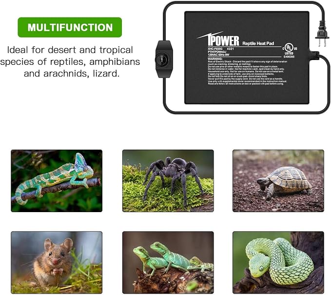 iPower 6 by 8-Inch 8 Watts Reptile Heating Mat with Temperature Controller Under Tank Warmer Terrarium Heat Pad for Reptiles and Amphibians, Black