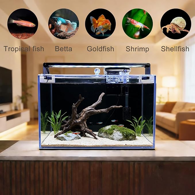 3.2 Gallon Fish Tank, Nano Nature Aquarium Kit,Small Aquarium Starter Kit,Ultra-Clear Rimless Desktop Small Aquarium with Filter and Light for Betta,Shrimp,Goldfish.Black Glass