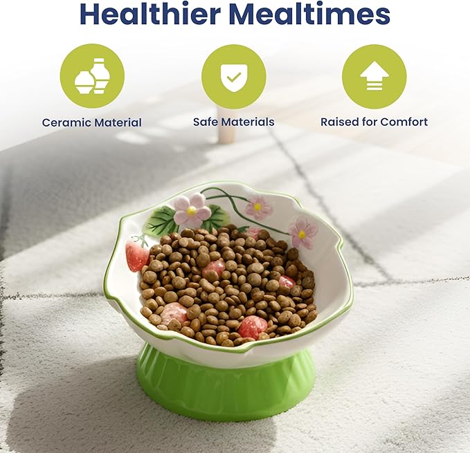 PawsPik Strawberry Blooms Elevated Ceramic Cat Bowl – Raised Cat Food Bowl with 15° Tilt, Whisker-Friendly Pet Feeding Bowl, Anti-Choking Dish, Dishwasher Safe (Green)