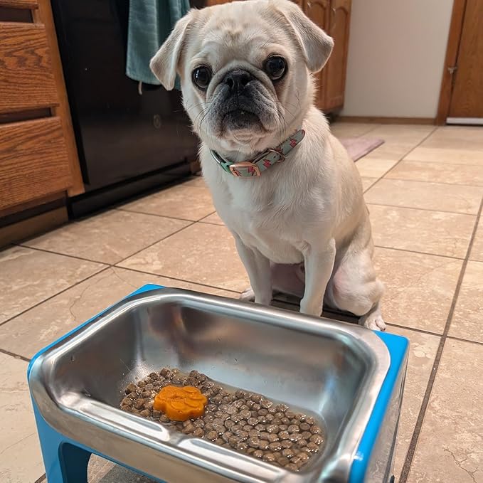Fluff Trough 7.25 Inch Tall Elevated Bowls for Medium & Small Dogs - Stainless Steel Raised Bowl With Stand Holds 2 Cups of Pet Food - Vet Recommended, Dishwasher Safe Feeder Station