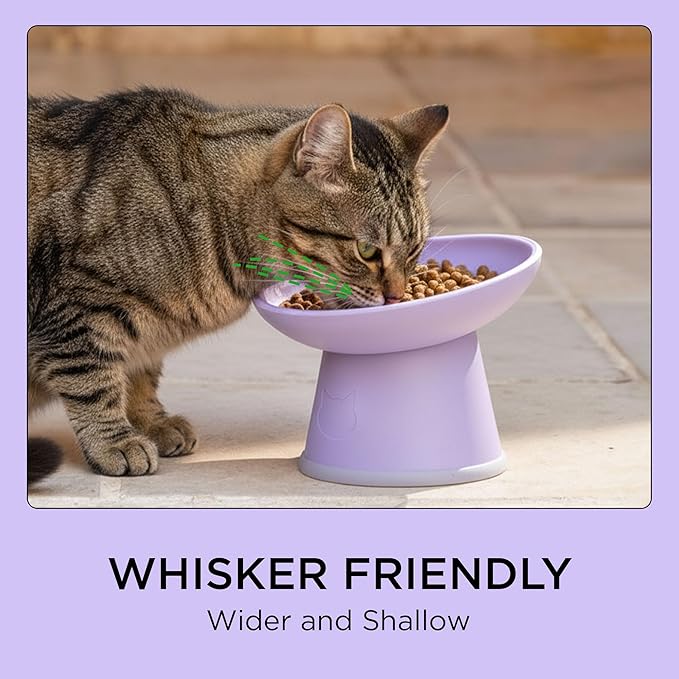 Necoichi 2pcs Tilted Elevated Cat Food Bowls BPA-Free Plastic 15° Tilted Raised Cat Bowl for Whisker & Neck Fatigue, Dishwasher Safe Non-Slip & Anti-Vomiting Ergonomic Design (Lilac Ice)