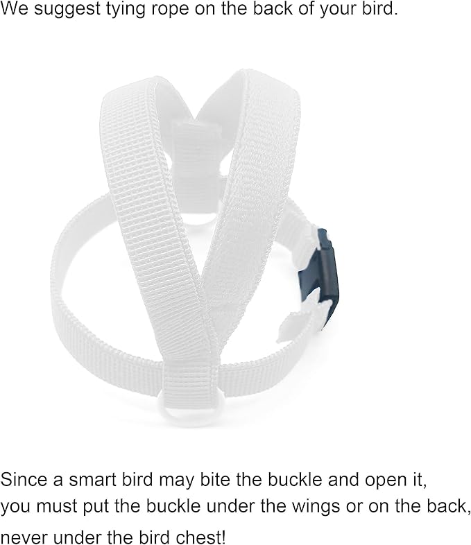 VANFAVORI Bird Harness with Buckle Clip and A Leash, Outdoor Flying Kit for Bird Parrots Cockatiel S Size Weight 85-105 Grams, White