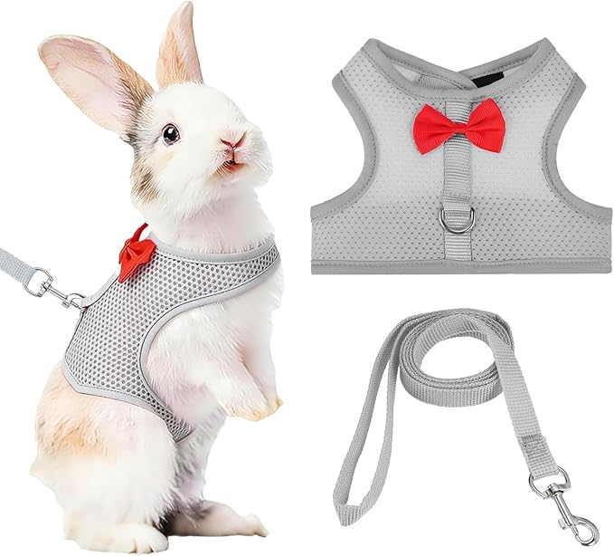 Rabbit Harness and Leash, Small Pet Cute Vest Harness Leash Soft Adjustable Buckle Breathable Mesh (L, Gray) for Bunny Kitten Small Pig Puppies Camping Hiking Training
