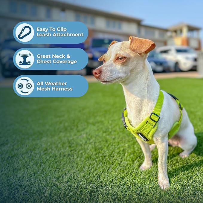 Best Pet Supplies Voyager Step-in Air All Weather Mesh Harness and Reflective Dog 5ft Leash Combo with Neoprene Handle, for Small, Medium and Large Breed Puppies - Lime Green, Medium