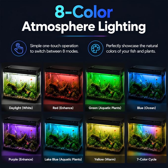 5 Gallon Fish Tank with Auto Feeder, Aquarium Starter Kit with Self Cleaning Filter, Crystal-Clear Glass, 8-Color LED Light, 5-Minute Setup, Vacation-Ready Betta & Goldfish Tank for Desk & Office