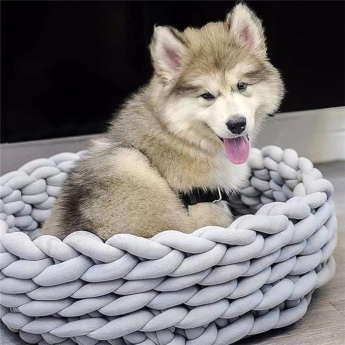 Woven Dog Bed Basket, Knitted Cotton Cat Bed Round Washable Woven Cat Pet Bed Chunky Dog Basket, Orthopedic, Chunky Knit Dog Nest,Dog Bed,Dog Cave,Dog Bedding(Green,21")