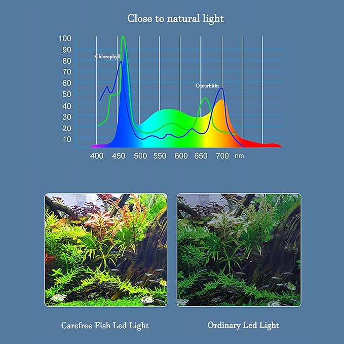Carefree Fish Aquarium LED Light USB 5V1A RGBW 5730 Timmer 1~10Gal Fish Tank Clip Light 10 Brightness Levels 8W with USB Port (Include UL Certification Power Adapter)