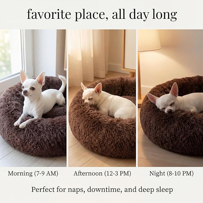 Calming Donut Dogs Beds for Small Dogs Washable,19inch Fluffy Round Puppy Bed for Puppies,Cats & Toy Breeds with Raised Rim,Fits up to 15 lbs Pets,Chocolate Brown