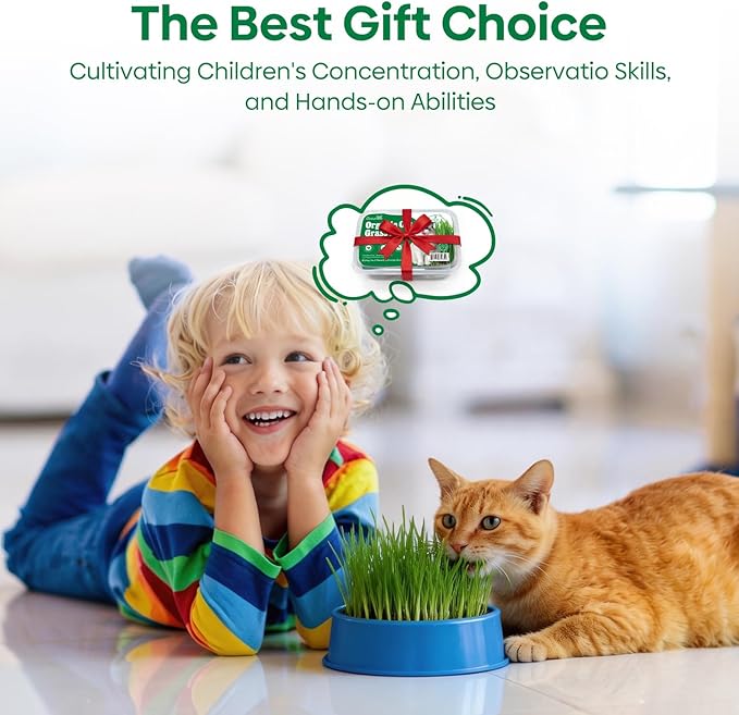 Groundio Cat Grass Seeds, All in 1 Cat Grass Growing Kit for Indoor Cats, Organic Wheat & Oat Seed with 98% High Germination Rate, Heirloom | Non-GMO | Coco Coir | BPA Free Container